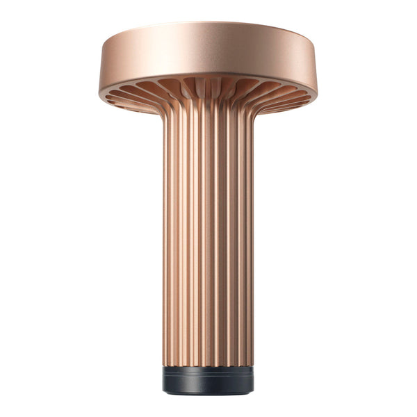 Fotica Portable Lamp