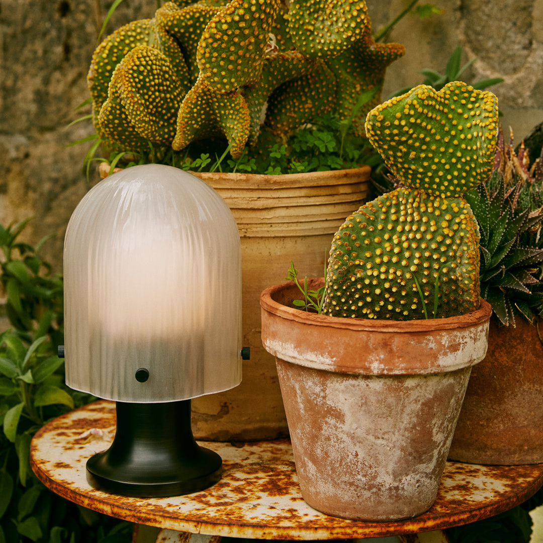 Frosted white lamp with black base beside textured terracotta pots and vibrant green cactus plants.