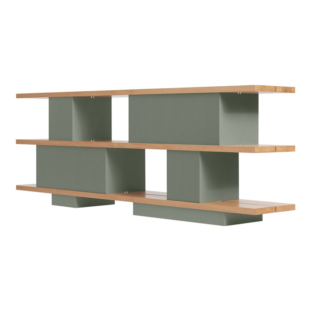 Modern bookshelf featuring a soft green finish with natural wood shelves and clean, geometric lines. Ideal for contemporary decor.