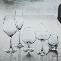 Assorted transparent glassware in various silhouettes, showcasing elegant curves and a minimalist design.