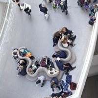 Modern gray seating with curved shapes, blending seamlessly into a light-toned floor and lively background patterns.