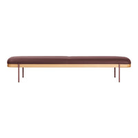 Brown leather bench with a smooth finish and gold metal accents, featuring clean lines and a minimalist design.