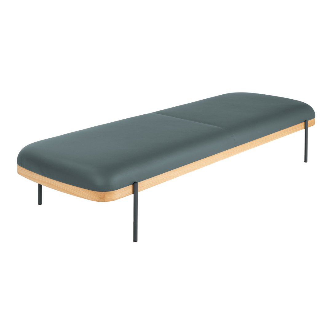 Sleek gray upholstered bench with smooth lines and light wood accents, set on black metal legs. Perfect for modern decor.