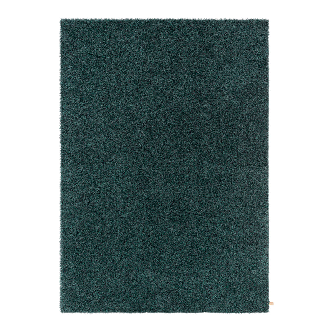 Teal shag rug with a solid, plush texture, perfect for adding vibrancy to any room. Soft and luxurious feel.