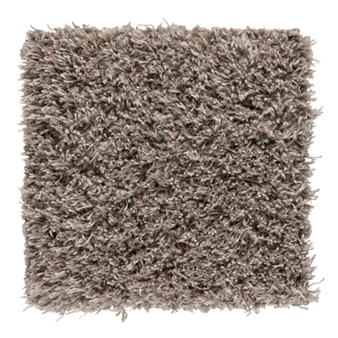 Soft, shaggy area rug in a warm taupe color with a textured, fluffy pattern. Perfect for cozy interiors.