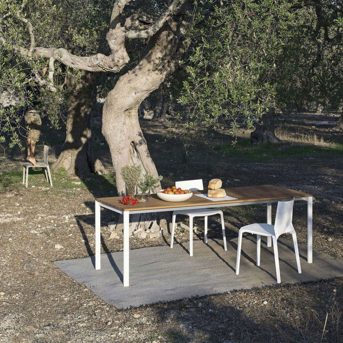 White modern dining table with a wood top, surrounded by greenery and a neutral-toned rug in a natural setting.