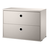 Silver two-drawer storage cabinet with minimalist design and round black drawer pulls.