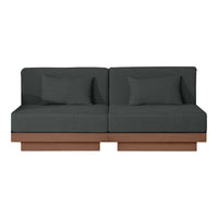Dark gray fabric sofa with brown wooden base and two matching cushions, perfect for modern decor.