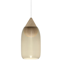 "Stylish pendant lamp with a clear glass body and natural wood top, featuring a modern, minimalist design."