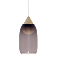Modern pendant light featuring a gradient purple glass shade and natural wood accent. Ideal for contemporary decor.