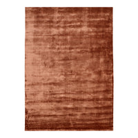 "Soft textured area rug in rich rust color with subtle gradient pattern, perfect for adding warmth to any space."