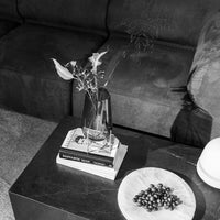 "Monochrome scene featuring a sleek vase, dark furniture, and white plate with dark berries."