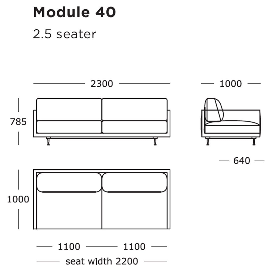"Minimalist 2.5 seater sofa design with a sleek outline, featuring a neutral color palette and clean lines."