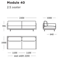 "Minimalist 2.5 seater sofa design with a sleek outline, featuring a neutral color palette and clean lines."