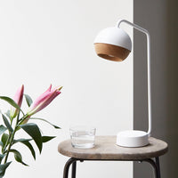 White and brown modern lamp with a minimalist design, complemented by soft pink flowers and a neutral backdrop.