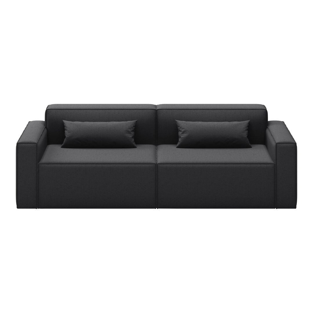 Stylish modern black sofa with sleek lines and minimalistic design, featuring two soft accent pillows.