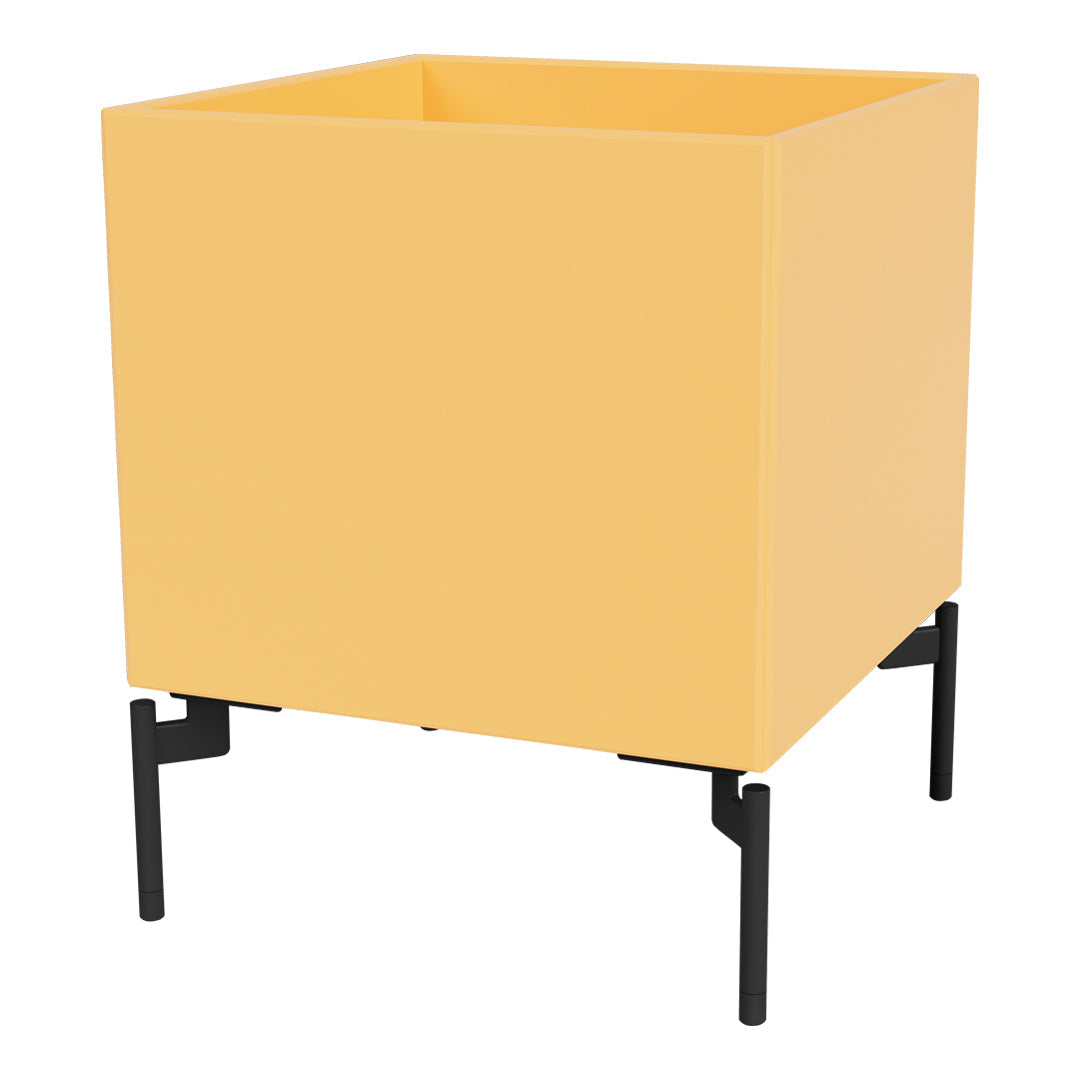 "Square yellow planter with black metal legs, featuring a sleek, modern design for stylish decor."