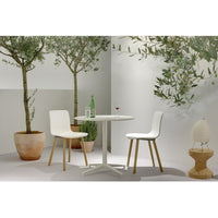 Modern white dining chairs with wooden legs, set against a light background with greenery and earthy tones.