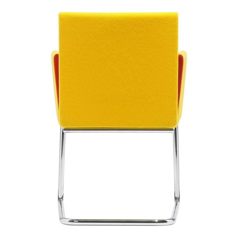 Paco Chair - Sled Base