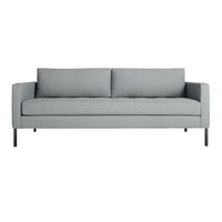 Light gray fabric sofa with a minimalist design and two plush back cushions. Perfect for modern living spaces.