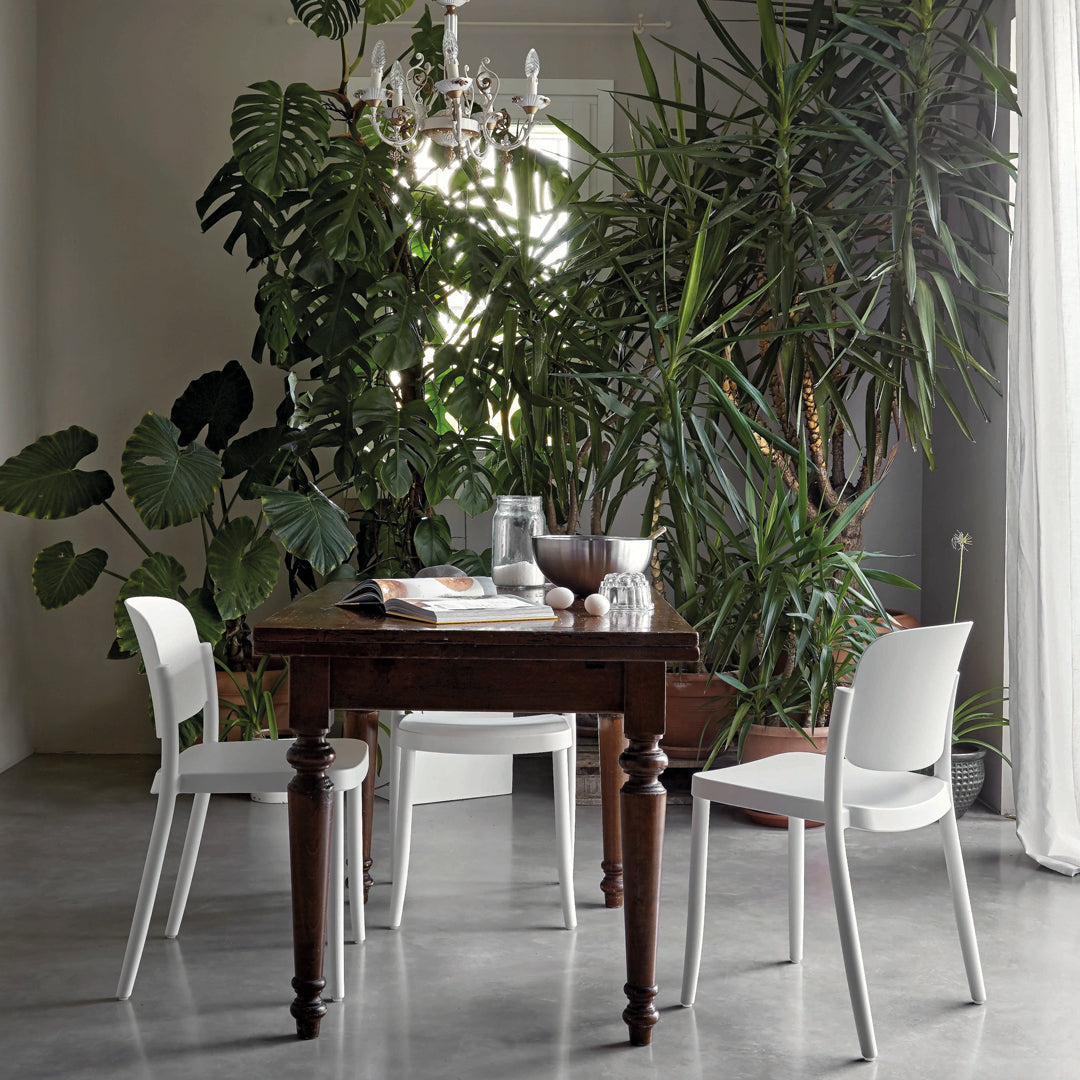 "Elegant dark wood table with white chairs, surrounded by lush green plants in a bright, airy room."
