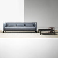 Modern gray sofa with three cushions, paired with a sleek black coffee table on a soft beige rug.