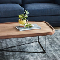 Modern wooden coffee table with a light wood finish and black metal legs, set on a textured gray area rug.