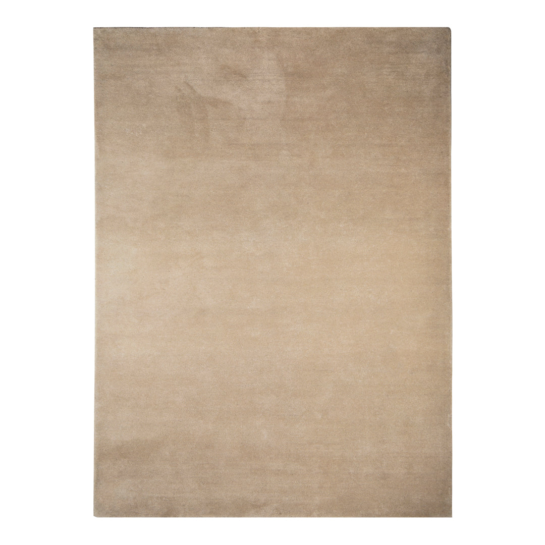 Beige area rug with a smooth texture and subtle gradient pattern. Ideal for modern and neutral decor.
