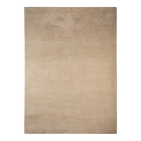 Beige area rug with a smooth texture and subtle gradient pattern. Ideal for modern and neutral decor.