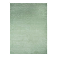 Soft green area rug with a subtle, smooth texture and minimal pattern, ideal for modern decor.