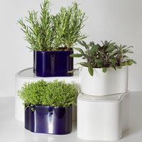 Stacked planters in glossy white and deep navy, featuring vibrant green herbs. Modern design with sleek lines and contrasting colors.