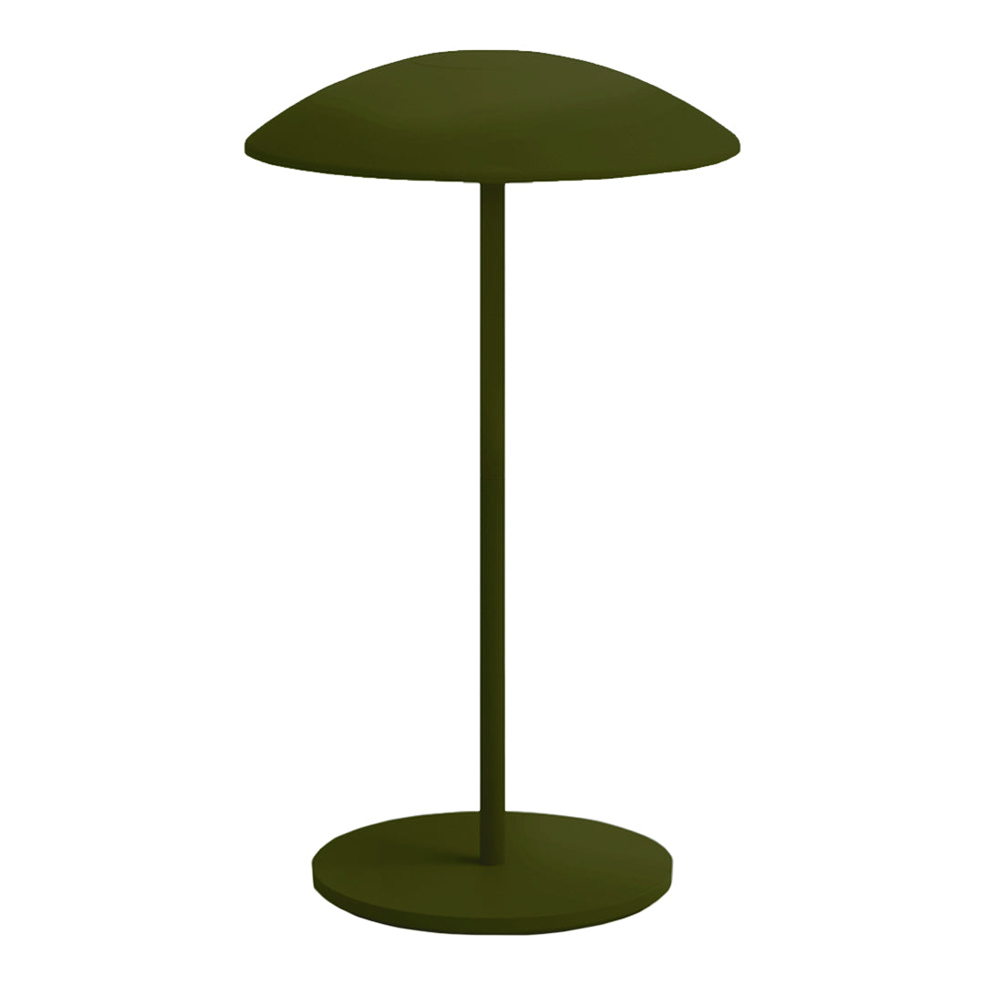 Dark olive green modern lamp with a sleek, rounded shade and minimalist design. Perfect for contemporary decor.