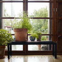 Black wooden bench complemented by earthy terracotta pots and green plants, enhancing a natural, vibrant indoor decor.
