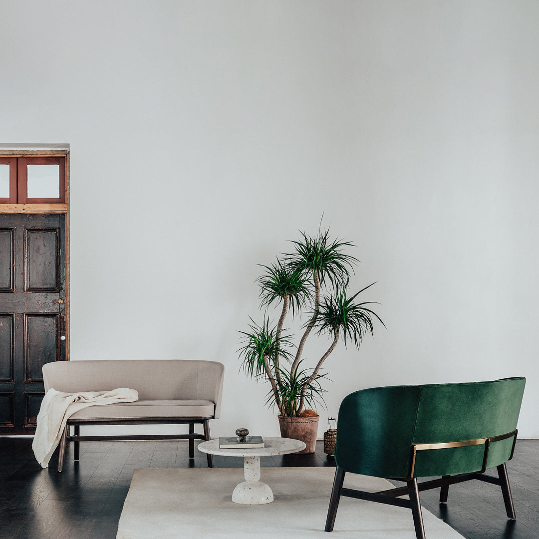 Modern living room featuring a beige sofa, green chair, and potted plant against a minimalist white wall.