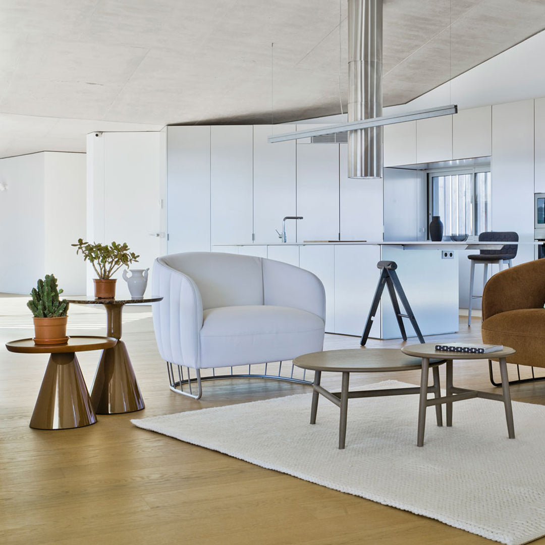 Modern living space featuring white and brown furniture, natural wood tones, and a textured beige rug.