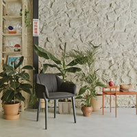 Gray upholstered chair against a textured stone wall, surrounded by green plants and orange accent table.