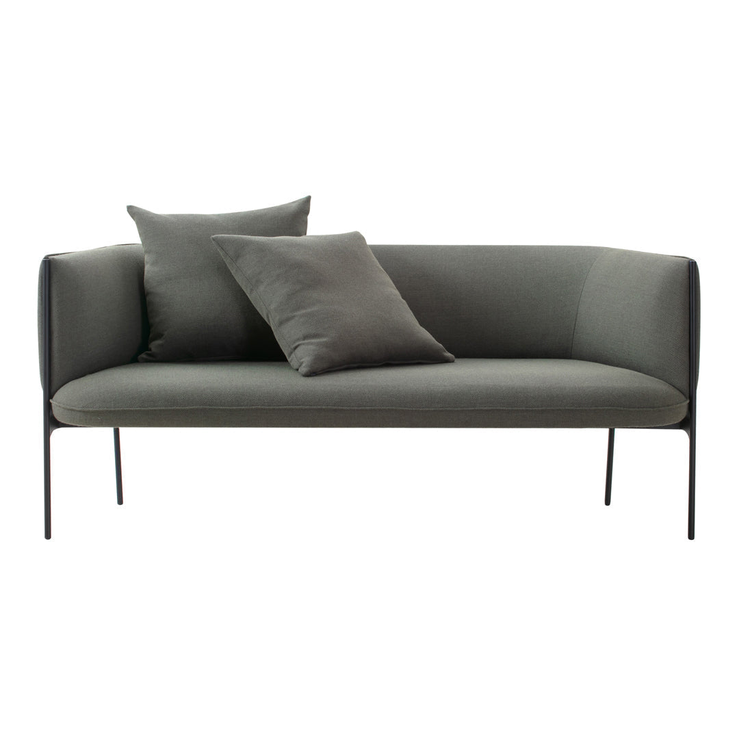 Stylish gray sofa with accent pillows in matching shades, featuring a sleek, minimalist design.