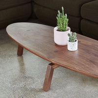 Wooden coffee table with a rich brown finish and natural grain, featuring minimalist white and speckled planters.