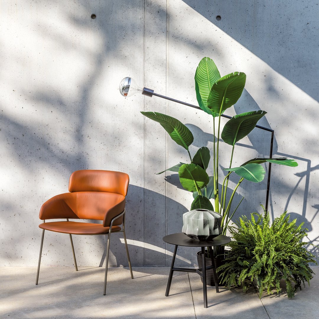 Brown leather chair with sleek black legs, complemented by green leafy plants and a modern black side table.