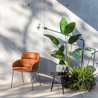 Brown leather chair with sleek black legs, complemented by green leafy plants and a modern black side table.