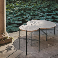White cloud-shaped table with a sleek black metal frame, set against a backdrop of lush green lily pads.
