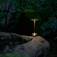 Sleek metallic gold lamp with a glass shade, set against rich green foliage and dark rock textures.