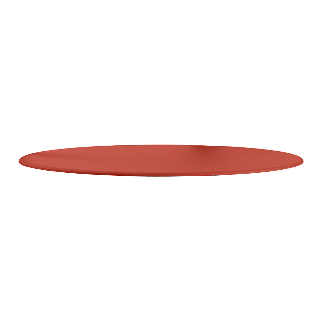 Rust-colored oval plate with a smooth matte finish and no patterns, perfect for modern dining settings.