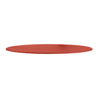 Rust-colored oval plate with a smooth matte finish and no patterns, perfect for modern dining settings.