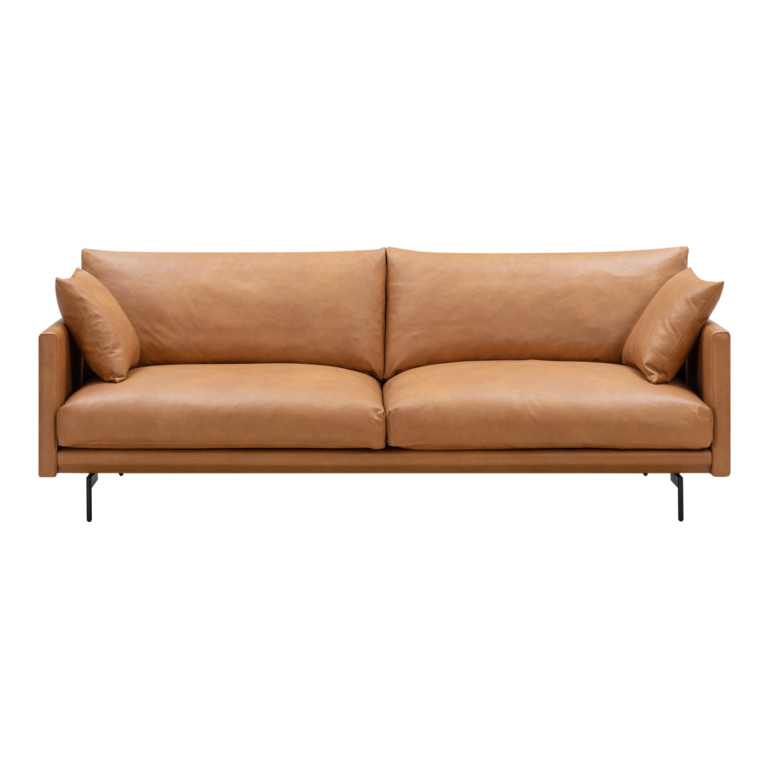 Tan leather sofa with smooth texture and minimalist design, featuring two loose cushions. Perfect for modern decor.