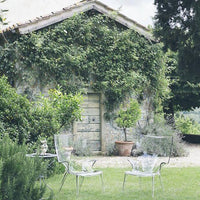 Clear acrylic chairs with geometric patterns on a lush green lawn, framed by greenery and rustic stone wall details.