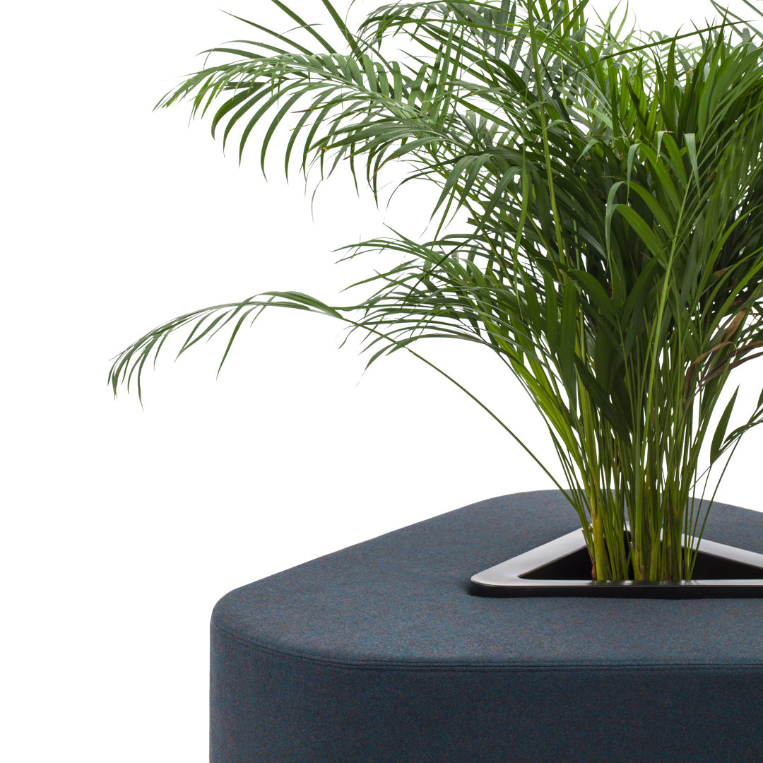 Dark blue geometric planter with a sleek black edge and vibrant green palm foliage. Perfect for modern decor.