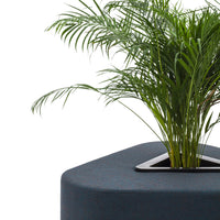 Dark blue geometric planter with a sleek black edge and vibrant green palm foliage. Perfect for modern decor.