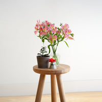 "Vibrant pink flowers and green leaves in clear vase on wooden stool against a neutral background."
