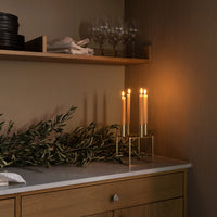 "Elegant gold candle holders with long candles, surrounded by lush green foliage against warm, neutral tones."